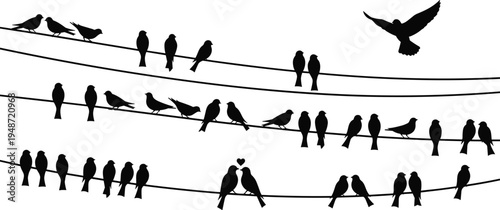Silhouette illustration of birds perched on wires with flying bird and romantic pair symbolizing community, love, and freedom in minimalist nature design projects