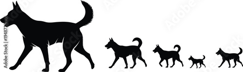 Black silhouettes of dogs in descending size order from large to small puppies