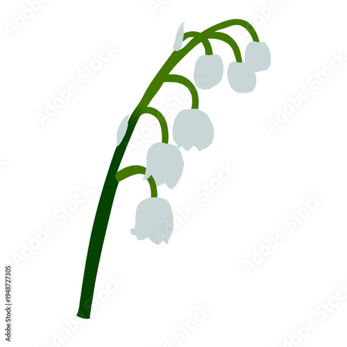 Vector illustration of a lily of the valley flower.