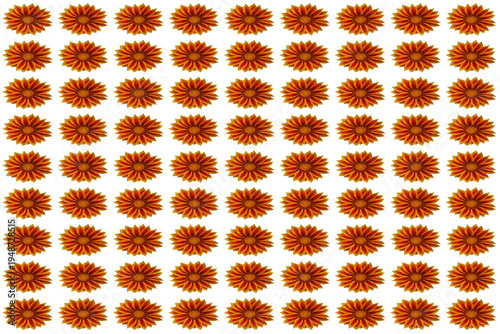 symmetrically arranged gazania floral pattern with white background. Ideal for textile and fabric designs.