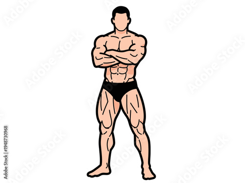 Bodybuilder Standing with Arms Crossed vector illustration