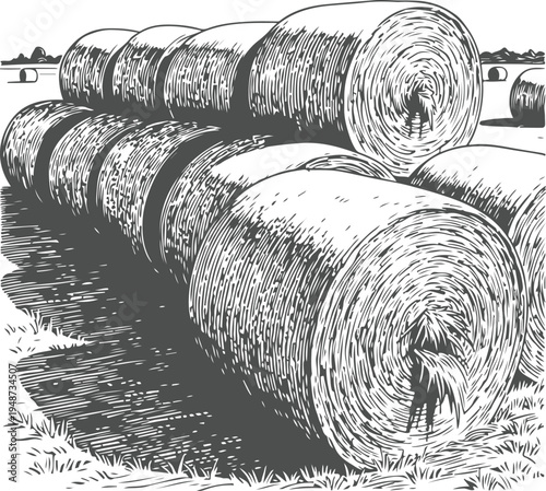 Bales of hay stacked in field, harvest season, agricultural landscape, rural scene with round straw rolls