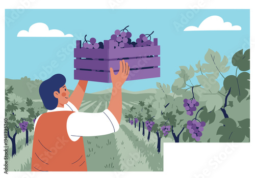 A gardener harvests purple grapes in a vineyard. A man carries a wooden crate, showcasing organic grapes against a rural backdrop. Bright, cheerful scene.