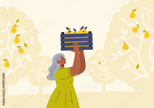 A mature woman harvests pears from trees, carrying a wooden crate. A serene rural scene with lush trees and a warm color palette. Ideal for harvest, agriculture, and lifestyle themes.