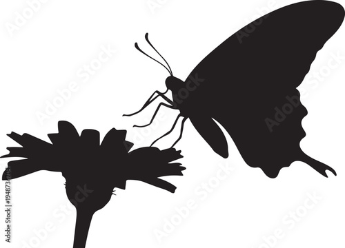 Butterfly Silhouette on a Flower Isolated on White Background