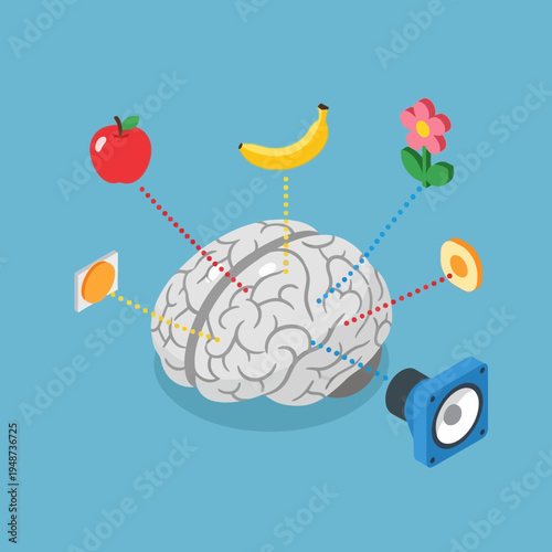 An illustration depicting a brain processing sensory information from various sources.