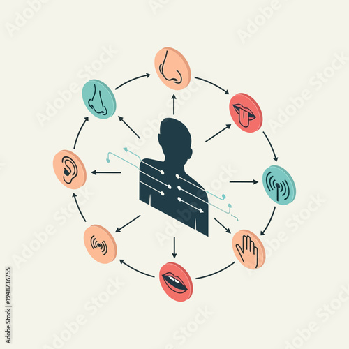 Diagram illustrating the human body and its sensory perceptions, including sight, smell, and touch.