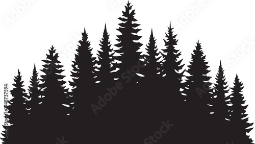 Black Silhouette of Pine Forest Trees Isolated on White Background