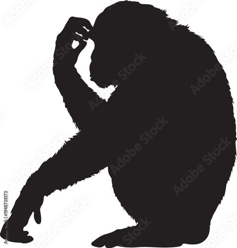 Thinking Chimpanzee Silhouette Isolated on White Background