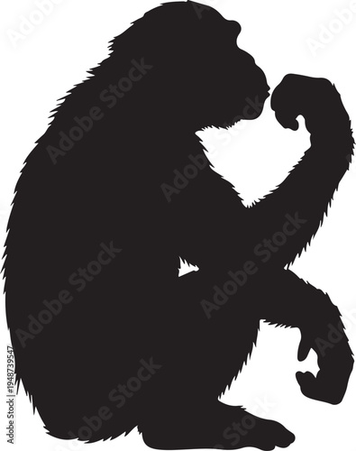 Thinking Chimpanzee Silhouette Isolated on White Background (2)