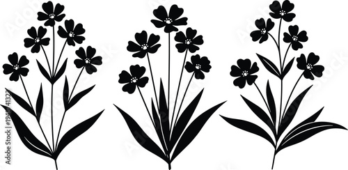 Stylized black silhouettes of three flowering plants with clustered blossoms and elongated leaves, decorative symmetrical design, symbolizing nature, growth, elegance, and botanical art for creative 