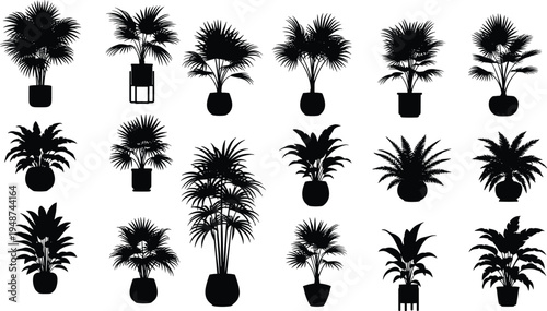 Indoor potted plant silhouette collection with tropical houseplants and decorative foliage isolated vector set for interior decoration, botanical design and home garden