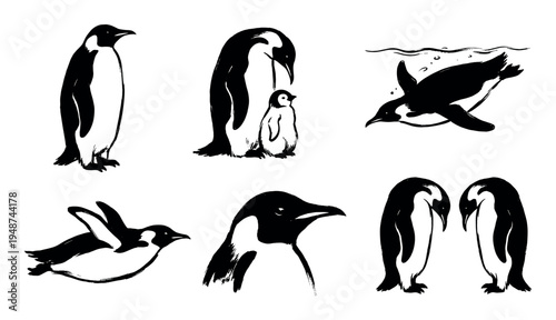 Various black and white brush stroke illustrations depict emperor penguins in different poses, including an adult with a chick, swimming, and standing.
