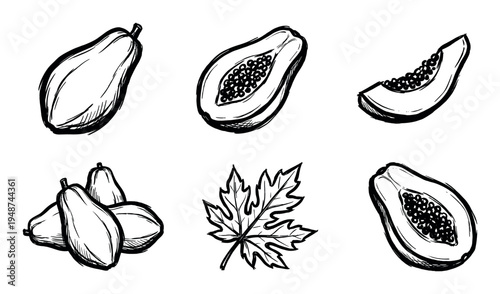 Hand-drawn sketch illustration set featuring various forms of fresh papaya fruit and a distinct papaya leaf.