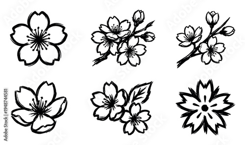 Collection of six hand-drawn cherry blossom illustrations, featuring various floral designs with a brush stroke texture, symbolizing spring and natural beauty.