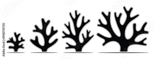 Black and white of coral growth stages