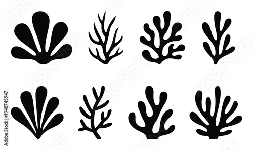 Collection of Black Silhouettes of Marine Life and Plants