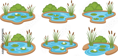 Garden Pond Icon Set with Water Lily Pads, Reeds and Natural Landscape Elements Decorative Backyard Pond Illustrations for Nature and Landscaping Design