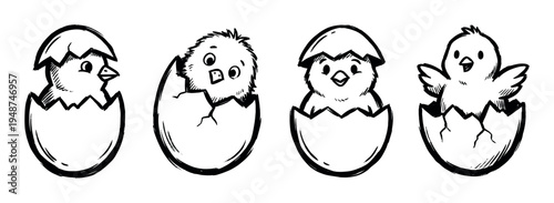Adorable hand-drawn baby chicks are depicted in various stages of hatching from their cracked eggshells.