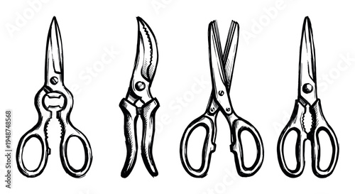 Various hand-drawn sketch illustrations of different types of scissors and shears, depicting essential tools for kitchen, gardening, and general use.