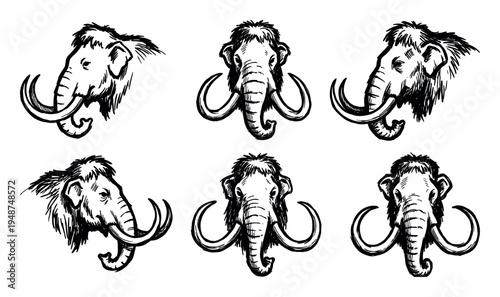 Collection of hand-drawn woolly mammoth heads showcasing the ancient prehistoric animal with large curved tusks.