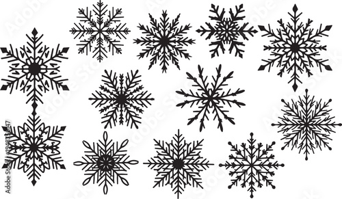 Collection of unique black snowflakes on white background illustration