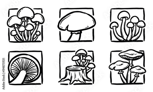 Hand-drawn black and white illustrations of various mushrooms and fungi in square frames, showcasing different forms and perspectives.
