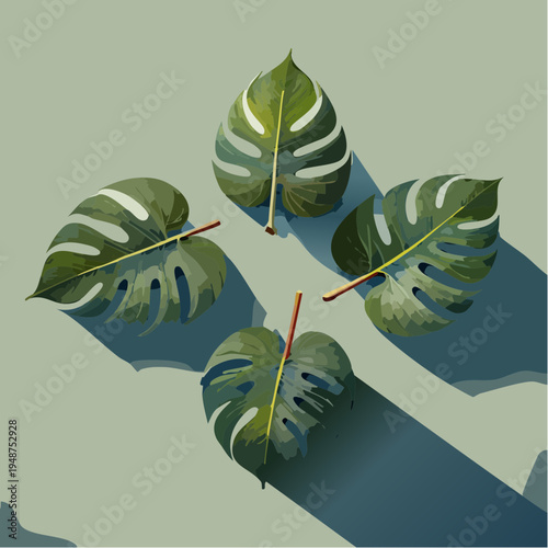 Four vibrant green monstera leaves arranged in a captivating pattern.