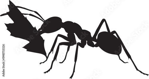 Black silhouette of an ant carrying a leaf piece on white background