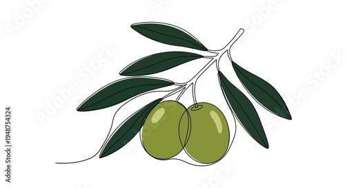Minimalist illustration of an olive branch with olives