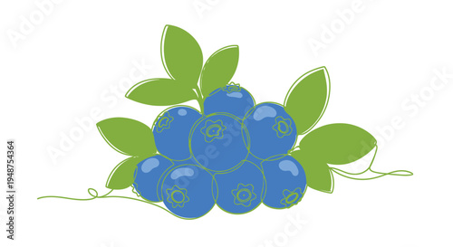 Bunch of blueberries with leaves, single line drawing