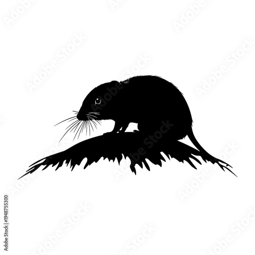 Silhouette of a small rodent perched on a dark, textured surface.