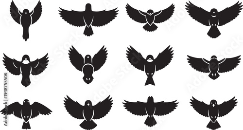 Various Black Bird Silhouettes in Flight on White Background