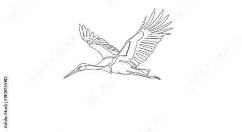 Stork bird in flight, symbol of new life, single line art