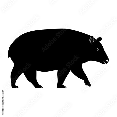 Silhouette of a Tapir Walking Isolated on White Background.