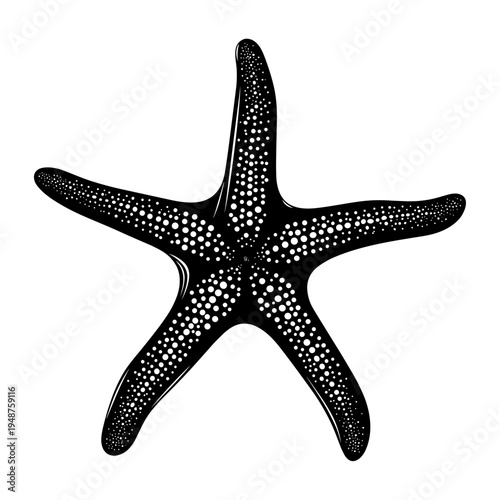 Black Starfish Illustration on White Background.