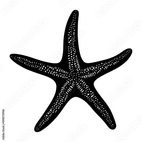 Black Starfish Silhouette Isolated on White Background.