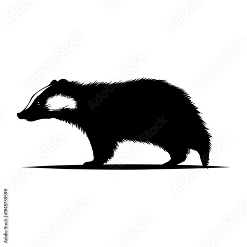 Silhouette of a Badger Standing on a Line.
