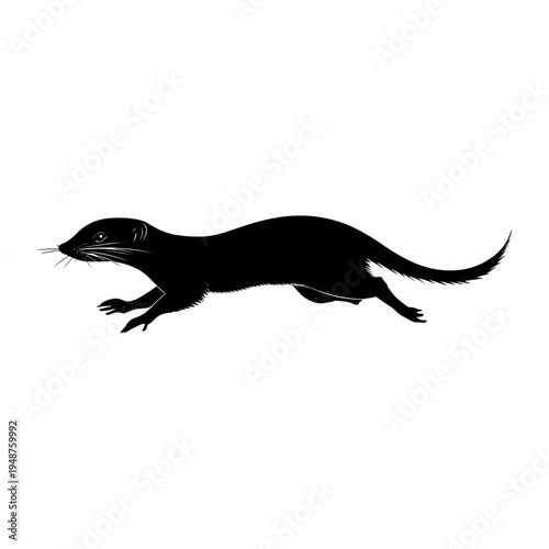 Silhouette of a black ferret running on a white background.