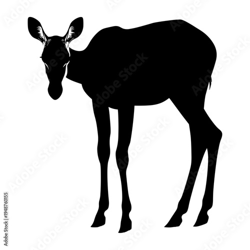 Silhouette of a young moose standing on a white background.