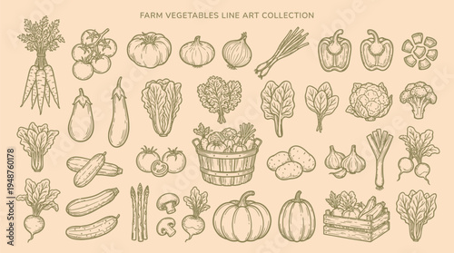 A charming collection of farm vegetables rendered in a detailed line art style, perfect for culinary and agricultural themes.