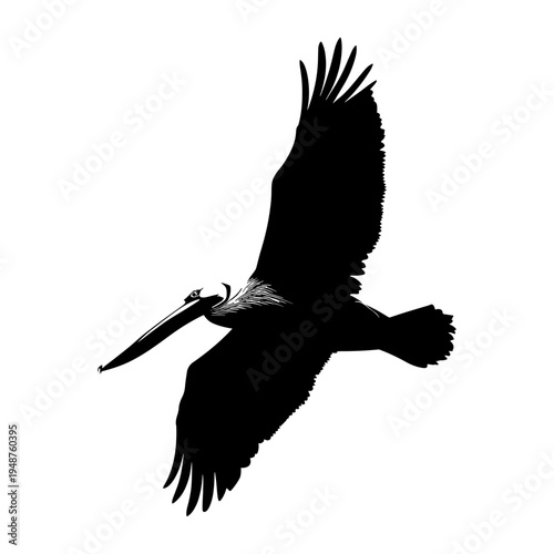 Silhouette of a pelican in flight against a white background.