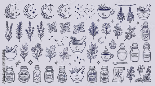 A collection of hand-drawn illustrations featuring mystical celestial bodies, herbal remedies, and alchemical elements, perfect for witchcraft and pagan themes.