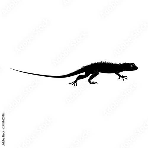 Silhouette of a lizard with a long tail on a white background.