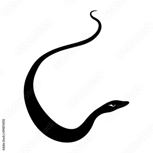 Silhouette of a Black Snake Curled Up.