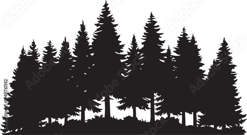 Black Pine Tree Forest Silhouette Isolated on White Background