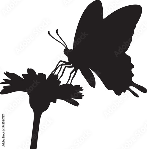 Black Silhouette of a Butterfly on a Daisy Flower Isolated on White