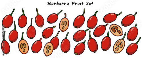 Barberry fruit set showcases vibrant red berries with unique shape and texture, perfect for culinary uses or decorative purposes. These fruits add pop of color to any setting