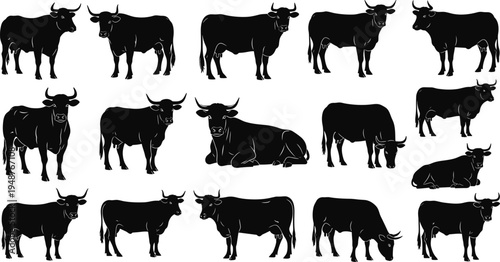 bull, cow, cattle, silhouette, livestock, farm, animal, collection, vector, illustration, black, set, agriculture, horned, rural, domestic, mammal, herd, farming, isolated