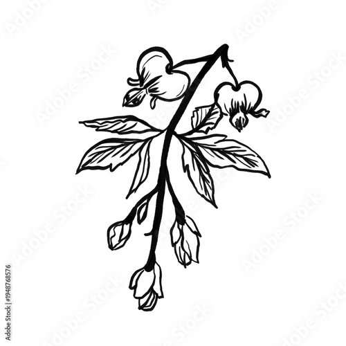 Elegant black silhouette illustration of a cherry tree branch with spring flowers and floral leaf patterns for a nature drawing or decorative blossom ornament design